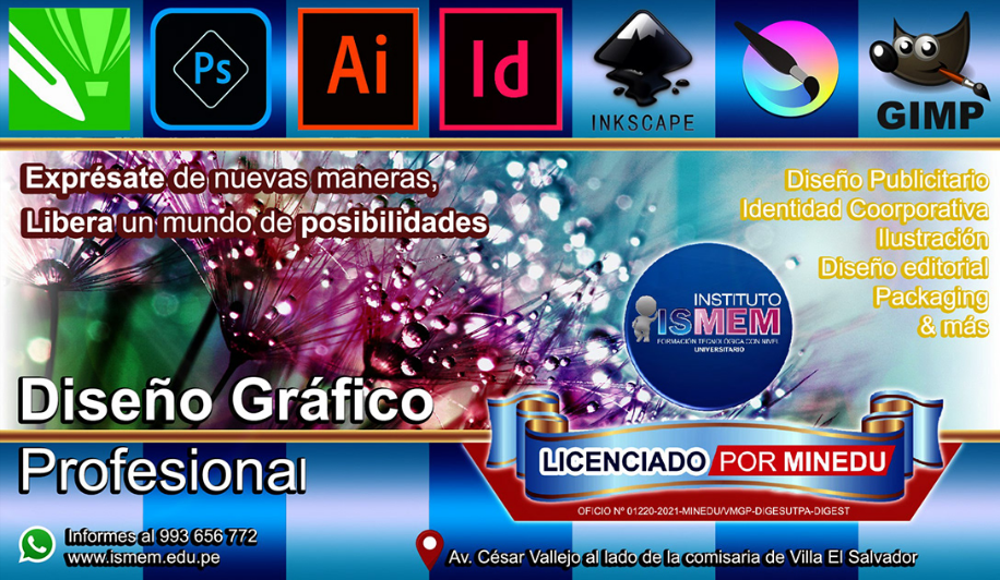 Diseño grafico profesioanl